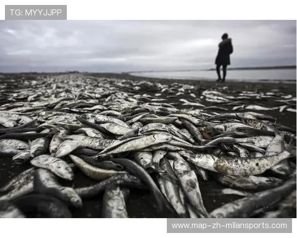 南美新秀欧洲入籍引发地方及商业连锁反应
