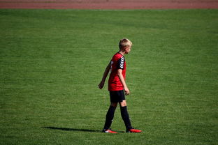 米兰体育网址-世界拳击青年赛中国选手勇夺金腰带，世界拳击表演赛